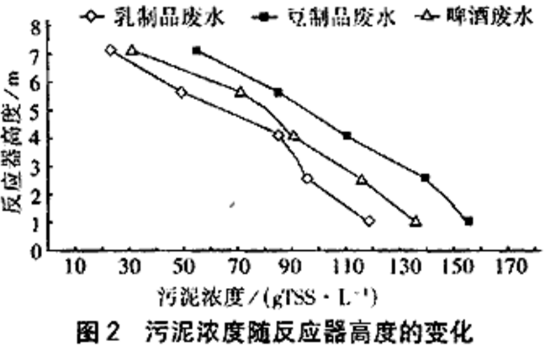 圖片19