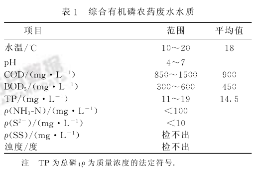 圖片10