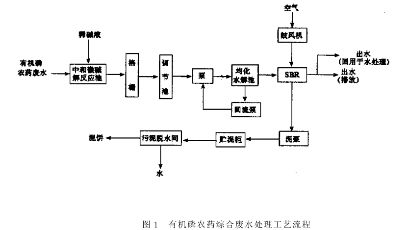 圖片11