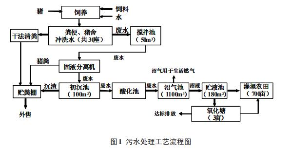 圖片9