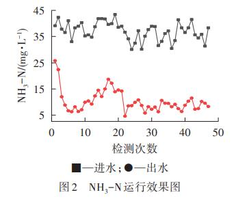 圖片35