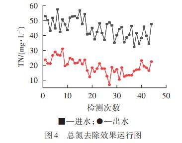 圖片37