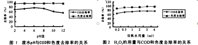 圖片12