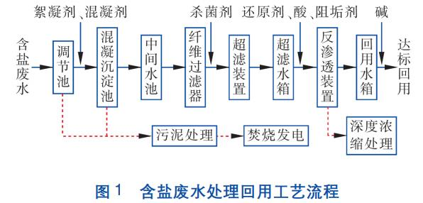 圖片25