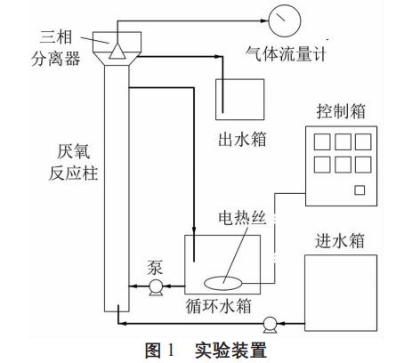 圖片16