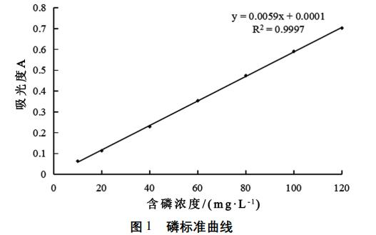 圖片13