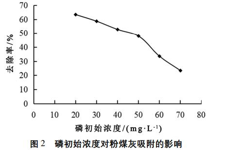 圖片14