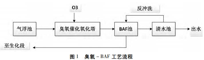 圖片24