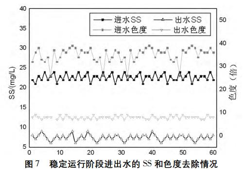 圖片32