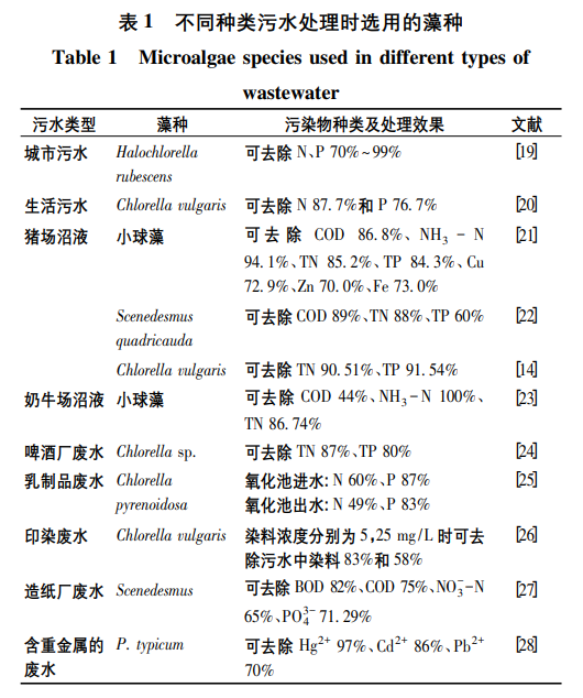 圖片5