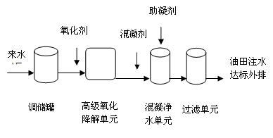 圖片14