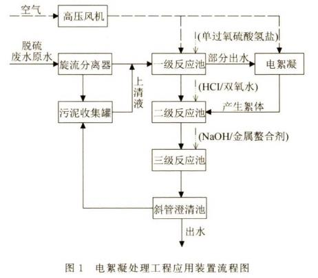 圖片41