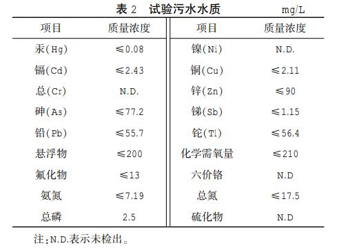 圖片14