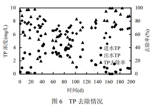 圖片36