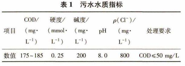 圖片48