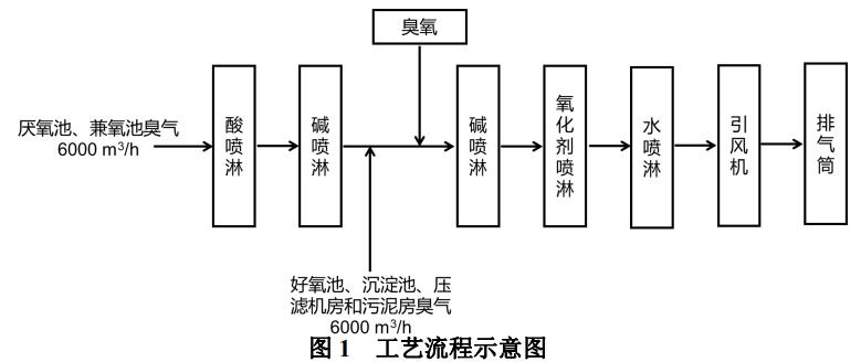 圖片22