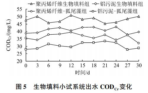 圖片7