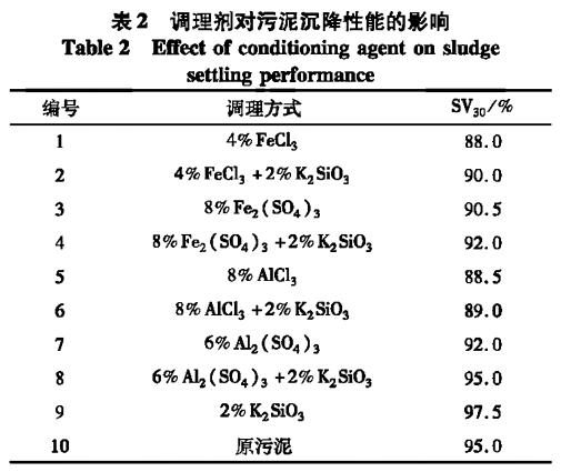 圖片41