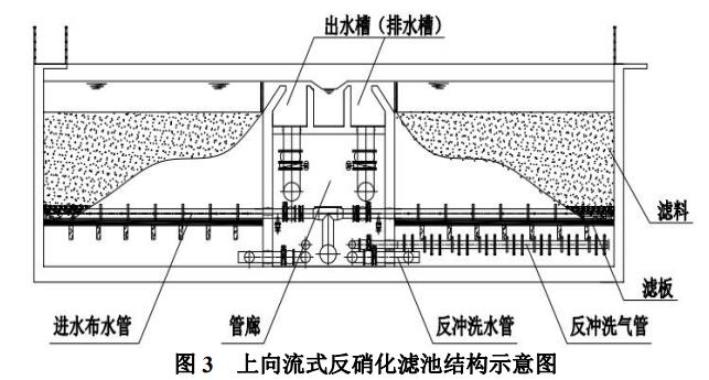 圖片18