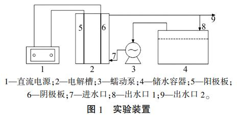 圖片19