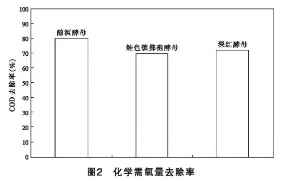 圖片17