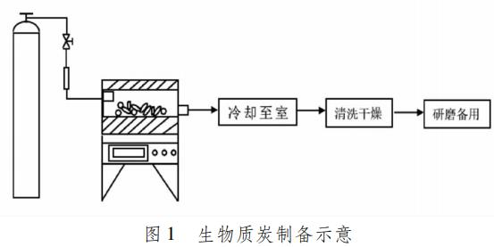 圖片9