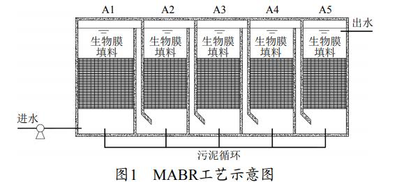 圖片16