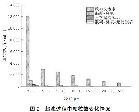 圖片12