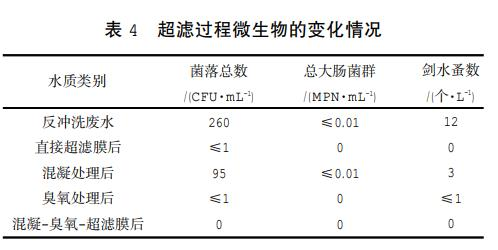 圖片14