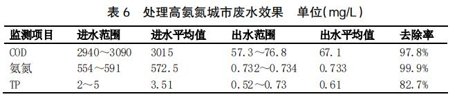 圖片10