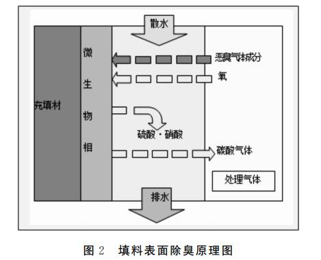 圖片15