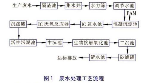 圖片10