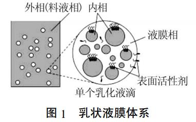 圖片8