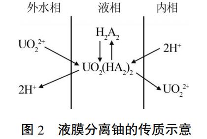 圖片9