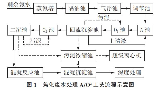 圖片8