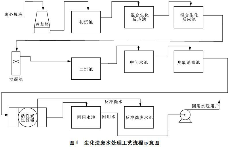 圖片26