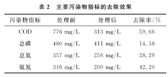 圖片30