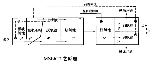 圖片31