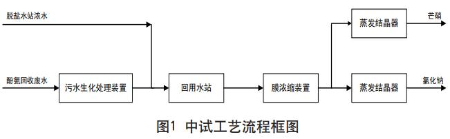 圖片11