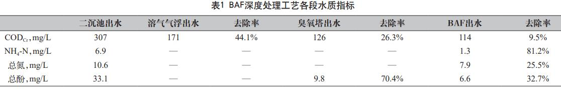 圖片17