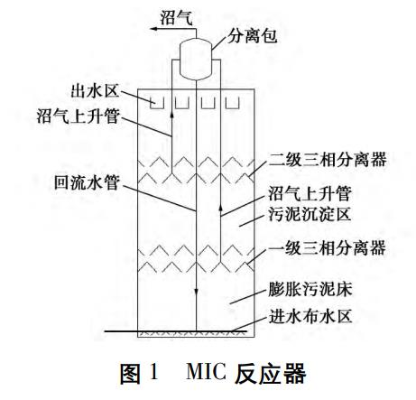 圖片11