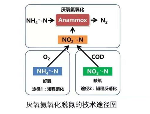 2_編輯